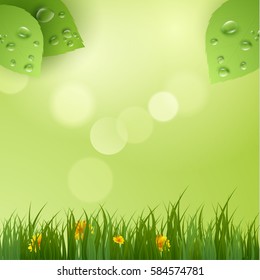 Spring green nature with sunbeams background. Vector EPS10