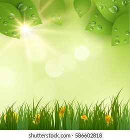 Spring green nature with sunbeams background. Vector EPS10
