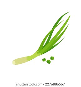 Spring green onion. Chopped chives. Healthy food. Vector illustration in trendy flat style isolated on white background.