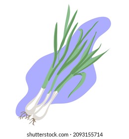 Spring green onion isolated on background. Icon in cartoon style.