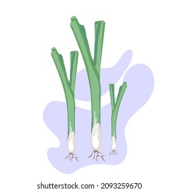 Spring green onion isolated on background. Icon in cartoon style.