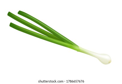 Spring green onion on white background, green vegetables, onion flavor.