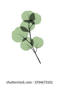 Spring green petals. A flower in a pot. Flowers in a vase. Spring, summer . Room decorations. Vector illustration. Leaves and branch