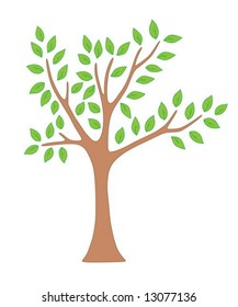 Spring green tree with leaves
