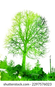 Spring. Green tree watercolor. Vector illustration