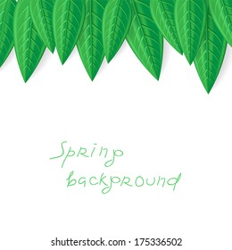 Spring greeting background with green leaves