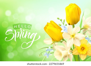 Spring greeting banner with beautiful daffodils and tulips. Vector illustration.