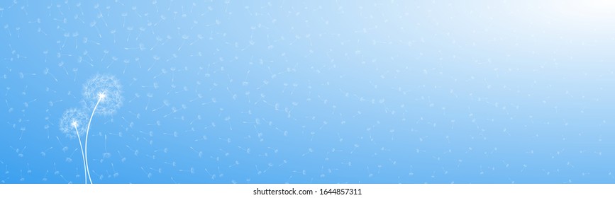 Spring Greeting Card Banner Design with White Dandelions Flowers Silhouettes