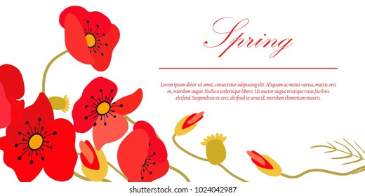 Spring greeting card with flower frame. Red poppies on a white background. Vector illustration

