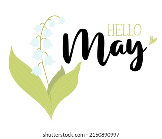 Spring Greeting card Hello May. Beautiful May lily of valley with leaves. Vector illustration for design, postcards, decor and decoration, print