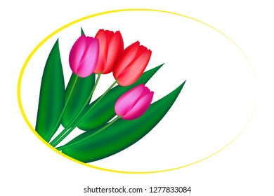 Spring greeting card or poster template.  tulips Flowers in oval frame
