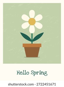 Spring greeting card with potted daisy and hello spring text. Pastel minimalist illustration for seasonal design.