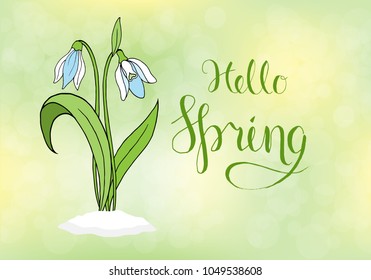 Spring greeting card with snowdrops.