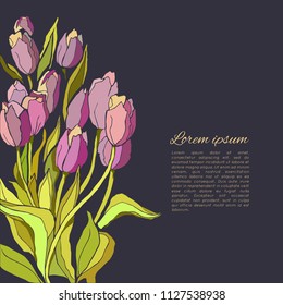 Spring greeting card with tulips. Floral spring design of bouquet of tulips. Vector illustration.