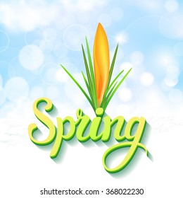Spring greeting card with yellow crocus and original handwritten text Spring. Vector illustration for posters, greeting cards, print and web projects.