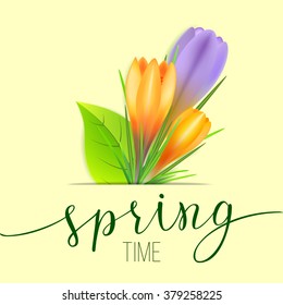 Spring greeting card with yellow and violet crocuses and original handwritten text Spring. Vector illustration for posters, greeting cards, print and web projects.