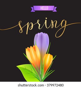 Spring greeting card with yellow and violet crocuses and original handwritten text Spring. Vector illustration for posters, greeting cards, print and web projects.