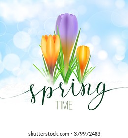 Spring greeting card with yellow and violet crocuses and original handwritten text Spring. Vector illustration for posters, greeting cards, print and web projects.
