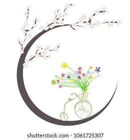 spring greetings. Flowers and vintage Bicycle. Cherry blossoms