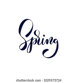 Spring hand drawn brush lettering, isolated on background. Vector illustration card. 