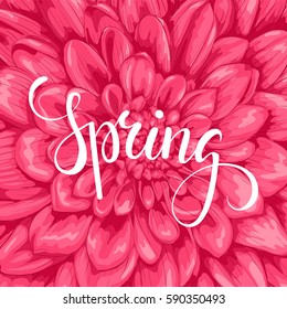 Spring. Hand drawn brush pen lettering on background flower pink dahlia. design holiday greeting card and invitation of  birthday, Easter and other seasonal spring holiday.