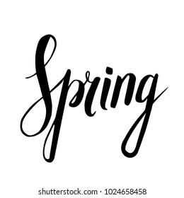 Spring Hand Drawn Calligraphy Brush Pen Stock Vector (Royalty Free ...