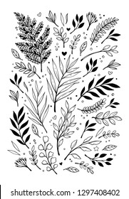 Spring hand drawn illustration. Botanical composition with branches, fern and leaves. Floral Design elements. Perfect for invitations, cards, prints and wrapping paper