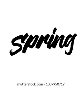 Spring. hand drawn type. lettering brush calligraphy for poster and sticker. vector lettering.