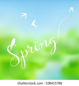 Spring - hand drawn typographic vector text and birds on blurred background. Logos and emblems for invitation, greeting card, prints and posters.