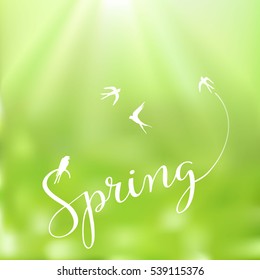 Spring - hand drawn typographic vector text on green background. Logos and emblems for invitation, greeting card, prints and posters