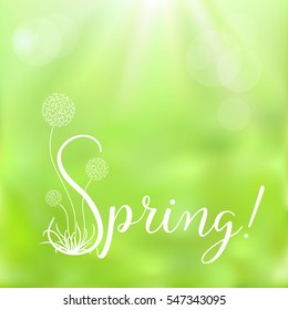 Spring - hand drawn typographic vector text on green background. Logos and emblems for invitation, greeting card, prints and posters