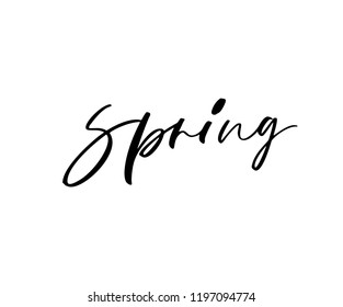 Spring hand drawn word. Ink illustration. Modern vector brush calligraphy. Isolated on white background.