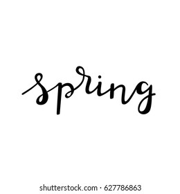 Spring - hand lettering design. Decorative typography element isolated on white background. Ink black calligraphy. Vector illustration.