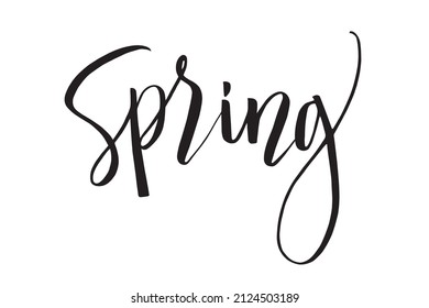 Spring. Handwritten calligraphy lettering. Black text isolated on white background. Vector illustration.