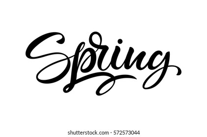 Spring Handwritten Calligraphy Vector Illustration Black Stock Vector ...