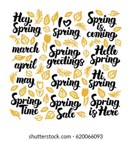 Spring Handwritten Lettering. Vector Illustration of Nature Calligraphy over White.