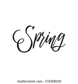 Spring Handwritten Vector Lettering Beautiful Modern Stock Vector ...