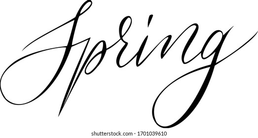 Spring. Handwritten word. Calligraphy by pointed pen technique. Modern style.