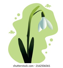 spring has come blossoms snowdrop heat