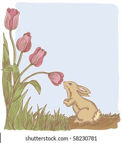 Spring Has Sprung - Cute Bunny Rabbit Smells the Flowers on a Lovely Spring Day