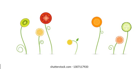 spring healthy food concept, vegetables and fruit looks like spring flowers, spring veggie diet idea,  vector.