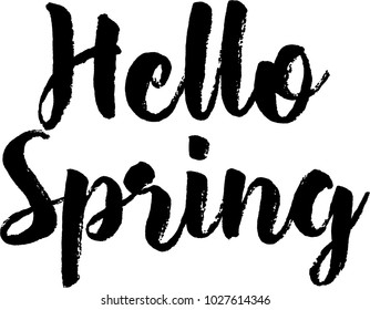 Spring, Hello spring. Calligraphy text. Lettering seasonal composition isolated on white background. illustration