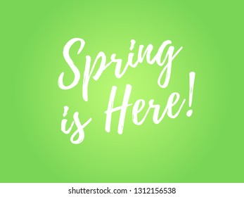 Spring is Here calligraphic lettering white text on green background. Typography modern calligraphy style word art design. Vector EPS10 illustration