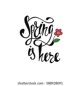 Spring is here calligraphic text with flower. Hand written inspirational phrase.
