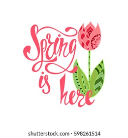 Spring is here calligraphic text. Hand written inspirational phrase with ornamental tulip flower.