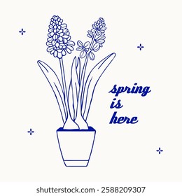 Spring is here. Elegant hand drawn illustration of hyacinth flowers in pot. Minimalist outline design in blue. Floral line art blossom spring home plant. Delicate botanical print, poster, card