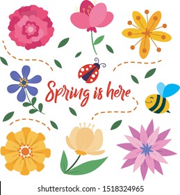 Spring is Here - Flowers