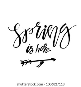 Spring is Here - Hand drawn inspiration quote. Vector typography design element. Spring lettering poster. Good for t-shirts, prints, cards, banners.