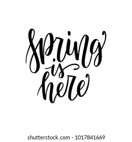 Spring is Here - Hand drawn inspiration quote isolated on white. Vector typography design element. Spring lettering poster. Good for t-shirts, prints, cards, banners