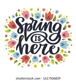 Spring is here. Hand drawn lettering phrase. Vector calligraphic illustration for greeting cards, posters, prints, t-shirts.